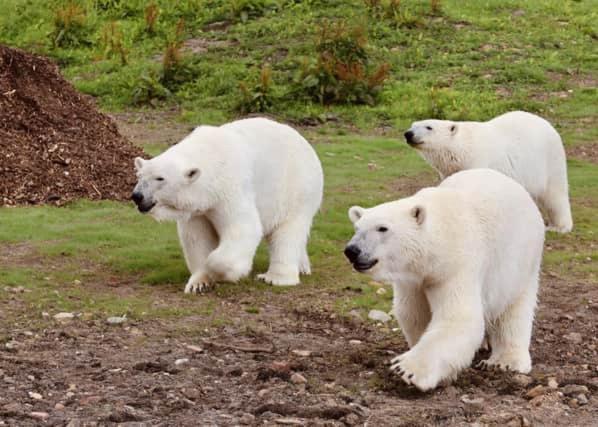 Chic 2 Bed Peak District Cottage Barn Near Alton Towers, Polar Bears, Chatsworth House Leek Exterior foto